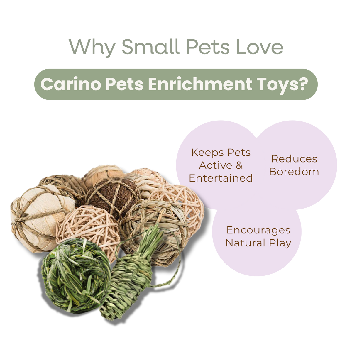 SMALL ANIMAL TOY CHEW BALL