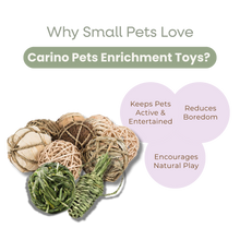SMALL ANIMAL TOY CHEW BALL