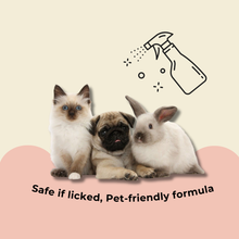 SPRITZ! PEACH BLOSSOM ANTI-ODOUR PET DISINFECTANT SPRAY 500ml