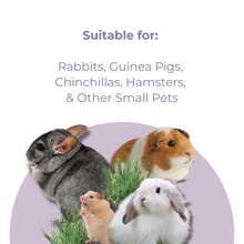 SMALL ANIMAL HAY MOLAR BISCUTS