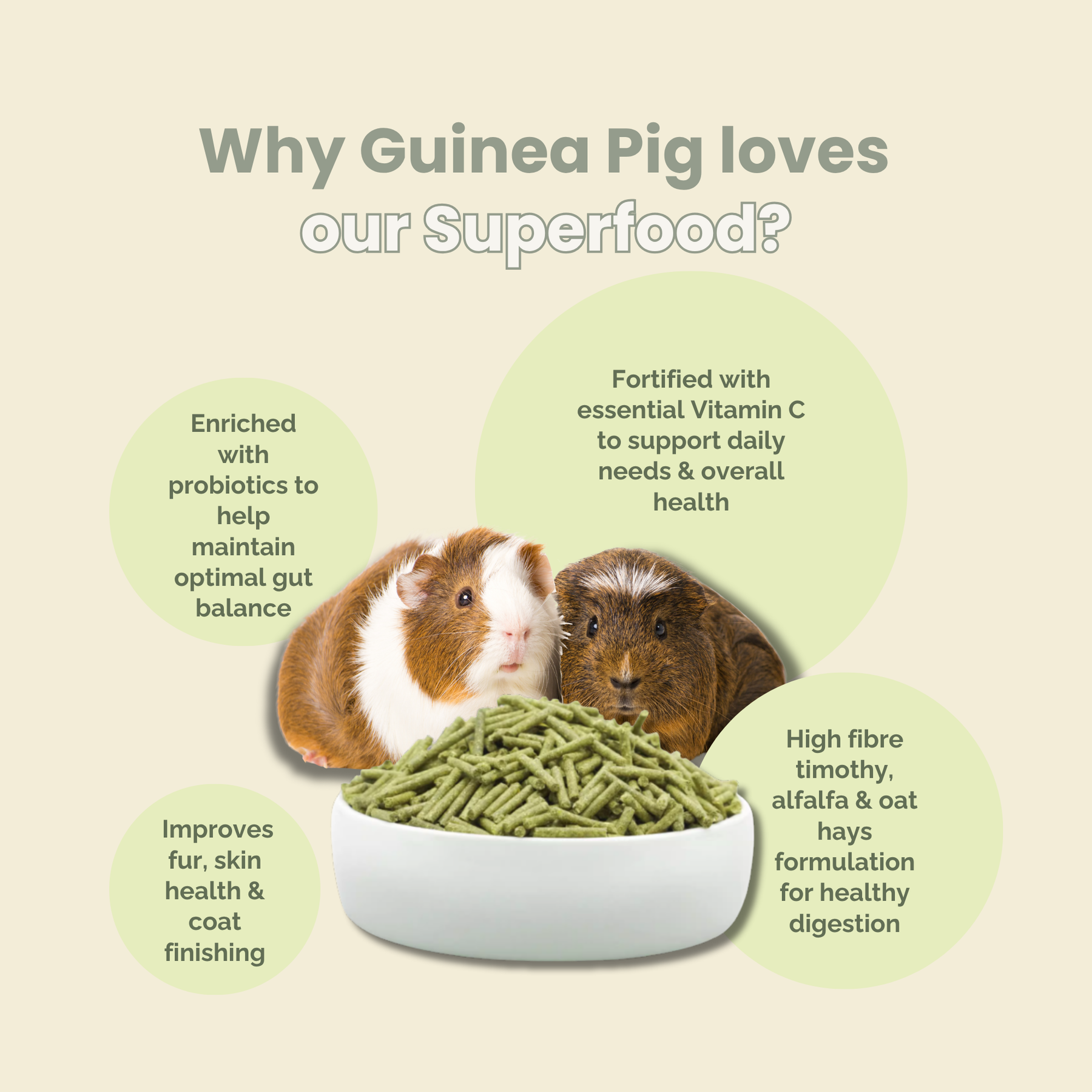 PREMIUM GUINEA PIG SUPERFOOD 1KG