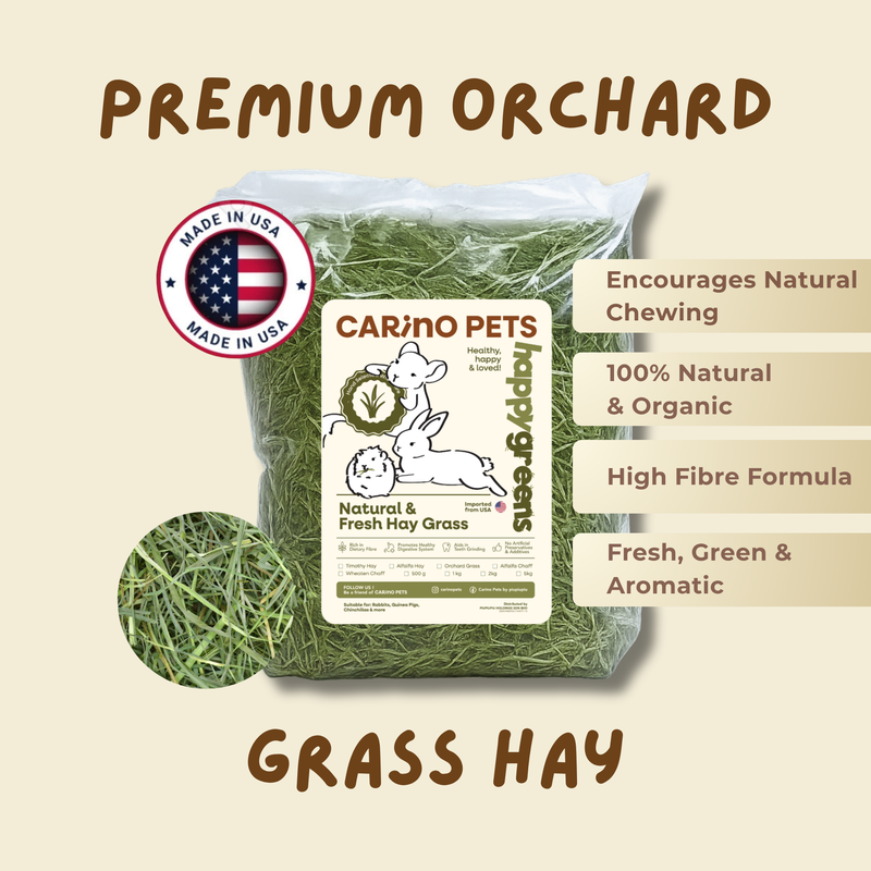 [PREMIUM] ORCHARD GRASS HAY