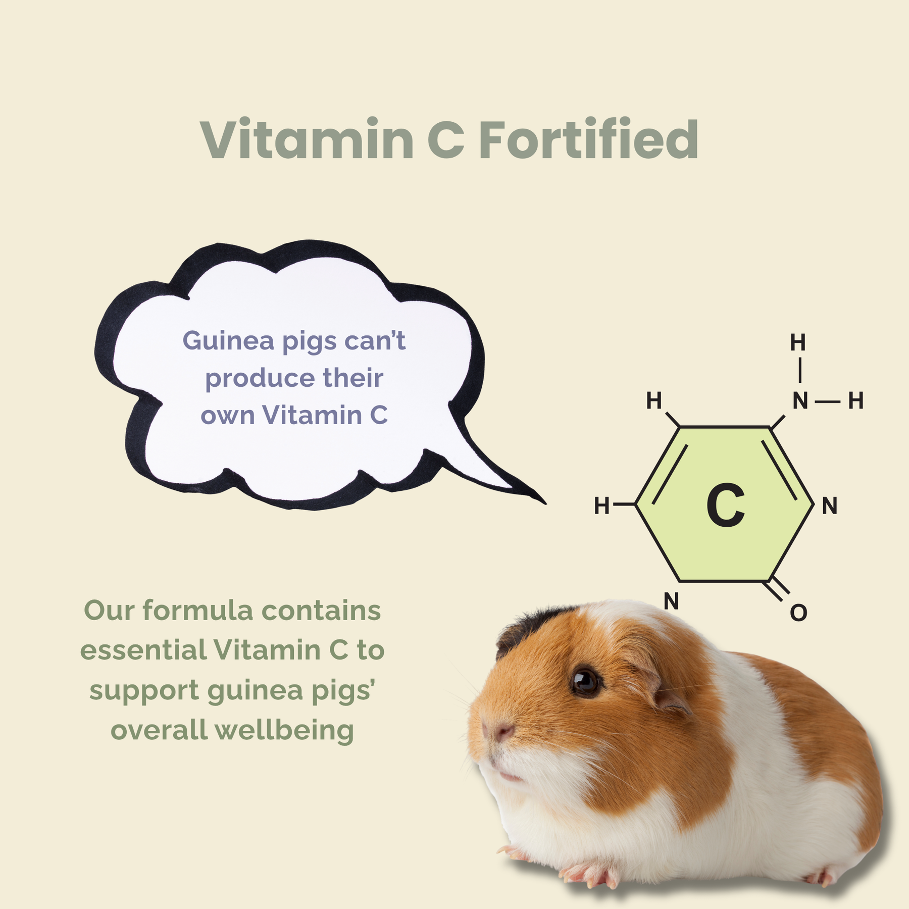 PREMIUM GUINEA PIG SUPERFOOD 1KG