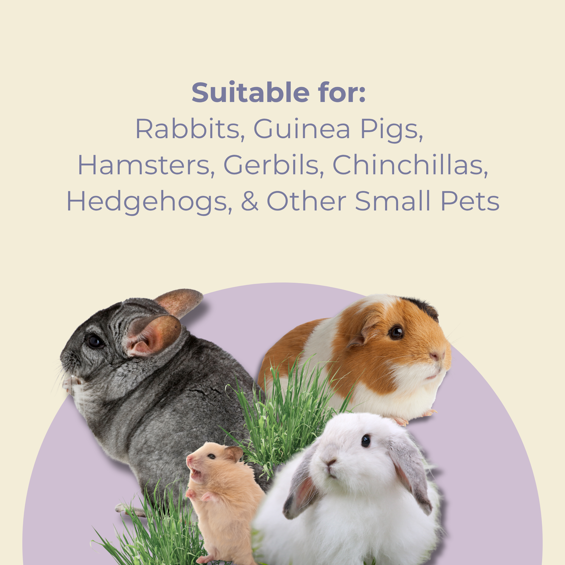 SMALL ANIMAL URINE STAIN REMOVER 230ML