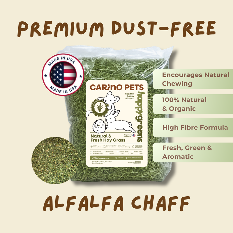 [PREMIUM DUST-FREE] ALFALFA CHAFF HAY