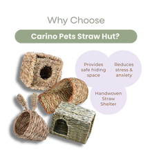 SMALL ANIMAL STRAW HUT