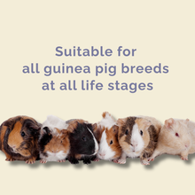 PREMIUM GUINEA PIG SUPERFOOD 1KG