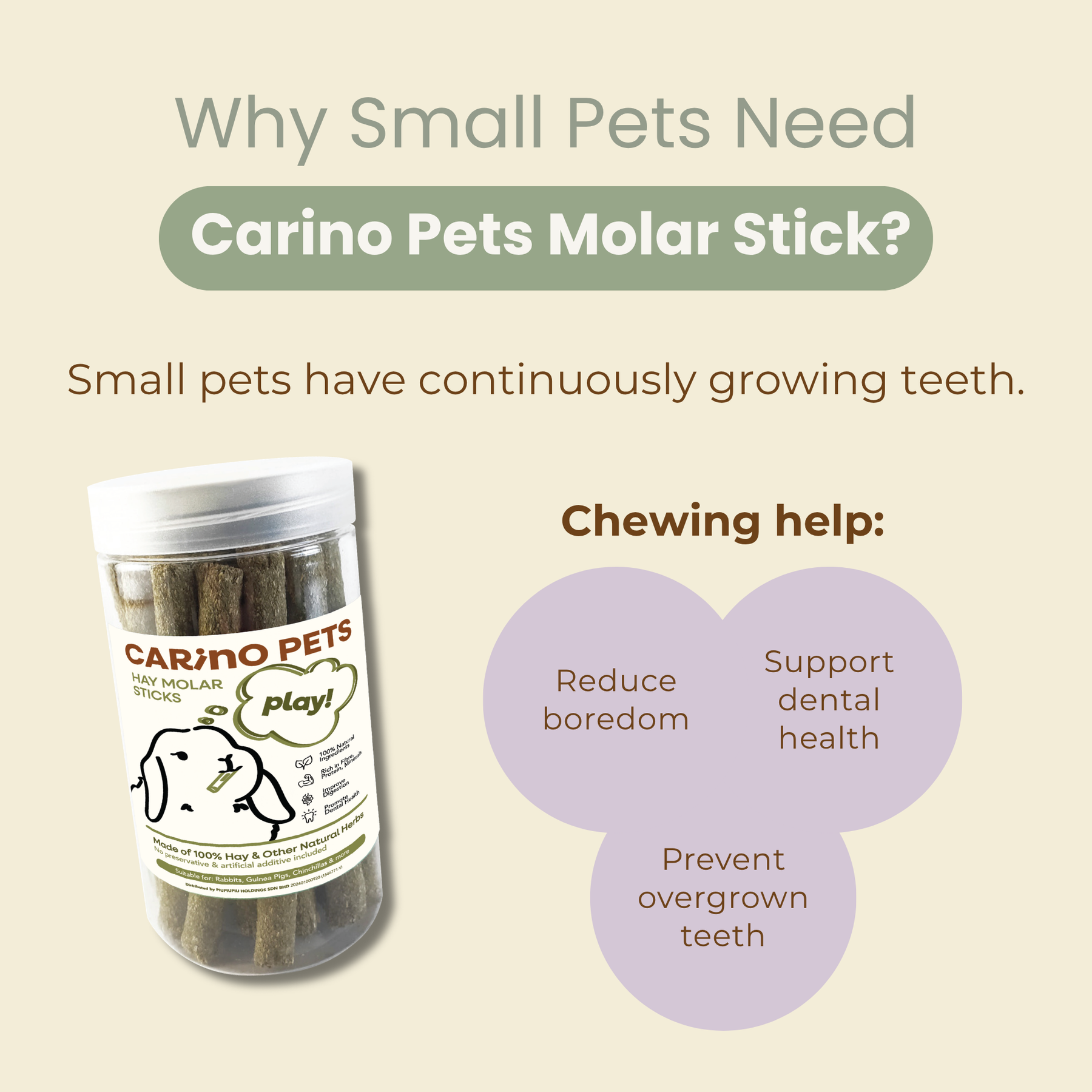 SMALL ANIMAL MOLAR STICKS