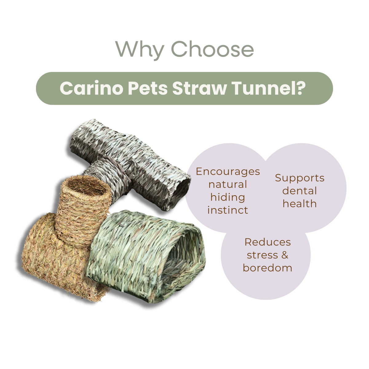 SMALL ANIMAL STRAW TUNNEL