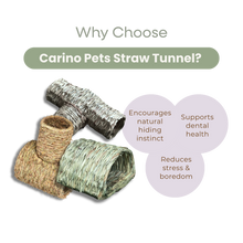 SMALL ANIMAL STRAW TUNNEL