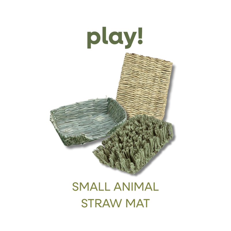 SMALL ANIMAL STRAW MAT