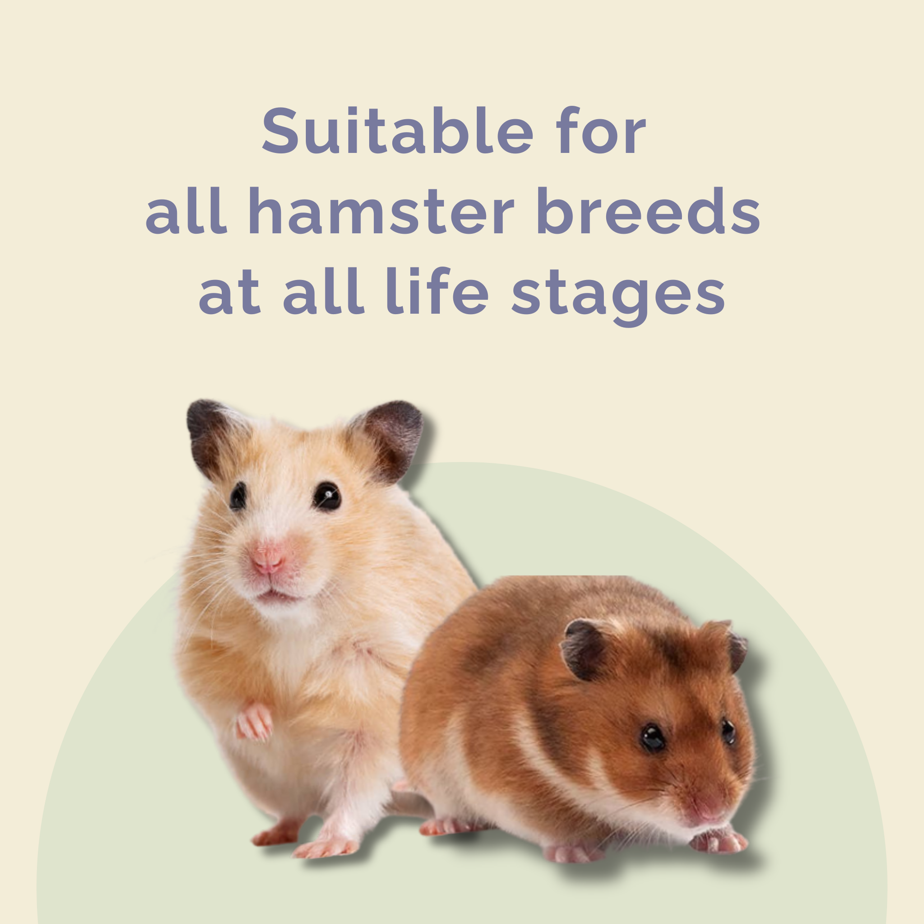 PREMIUM HAMSTER SUPERFOOD 400G