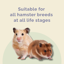 PREMIUM HAMSTER SUPERFOOD 400G