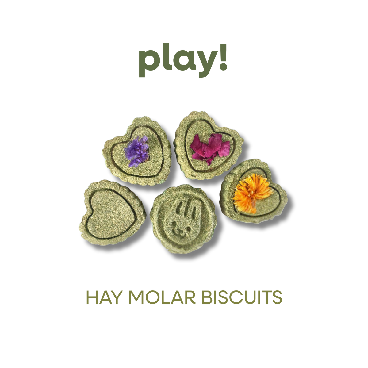 SMALL ANIMAL HAY MOLAR BISCUTS