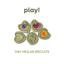 SMALL ANIMAL HAY MOLAR BISCUTS