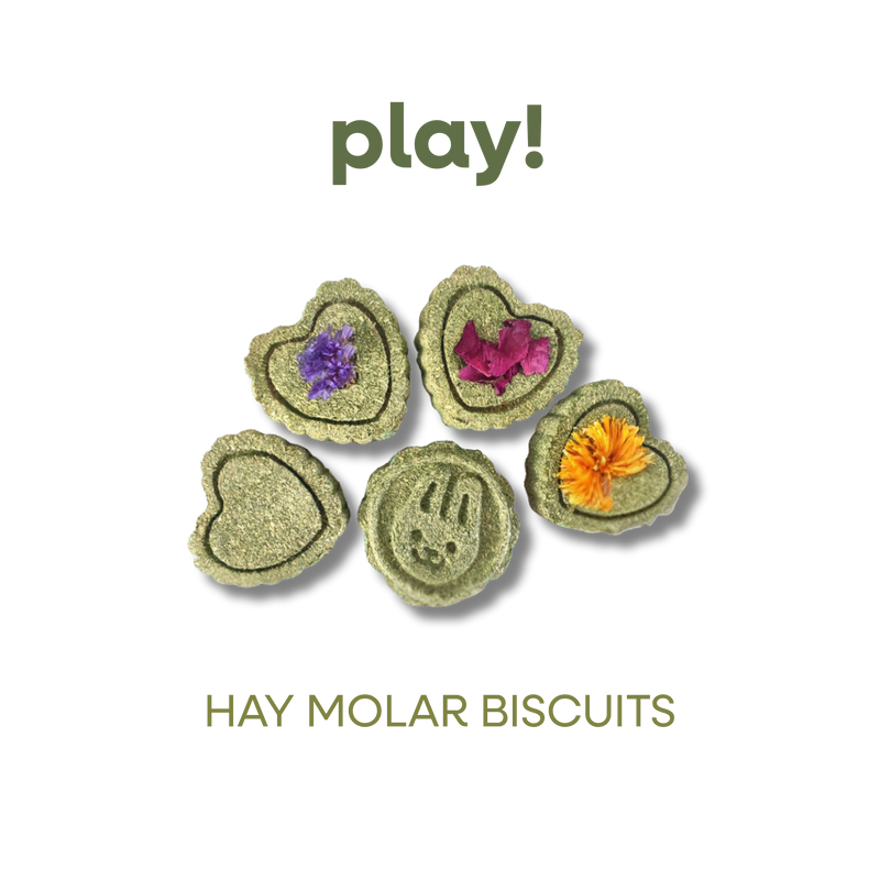 SMALL ANIMAL HAY MOLAR BISCUTS