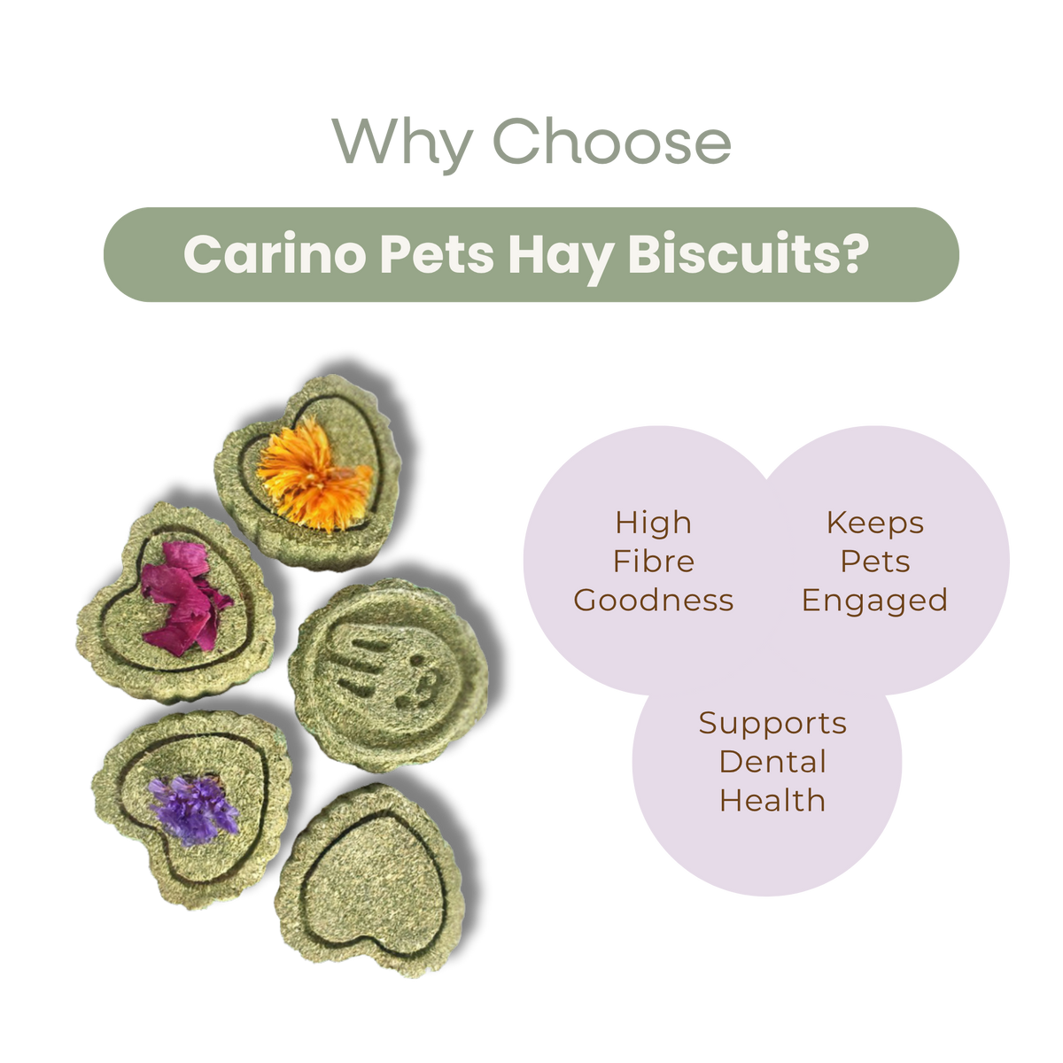 SMALL ANIMAL HAY MOLAR BISCUTS