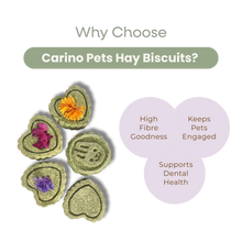 SMALL ANIMAL HAY MOLAR BISCUTS