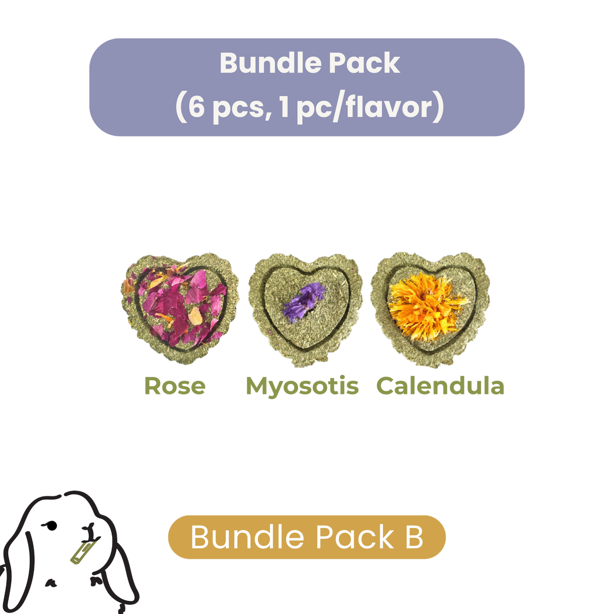 SMALL ANIMAL HAY MOLAR BISCUTS