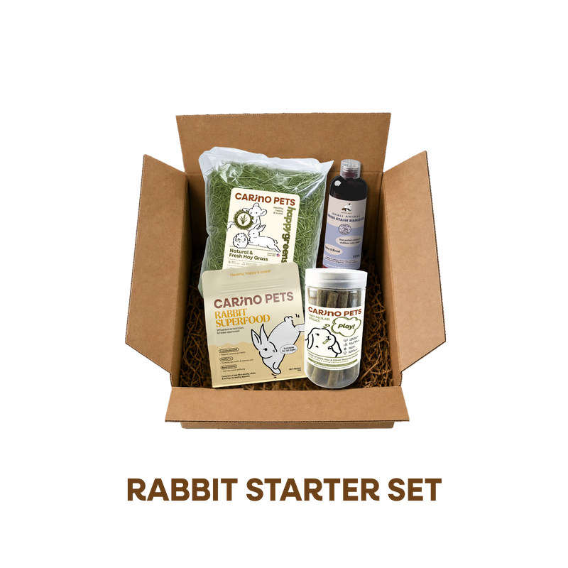RABBIT STARTER SET