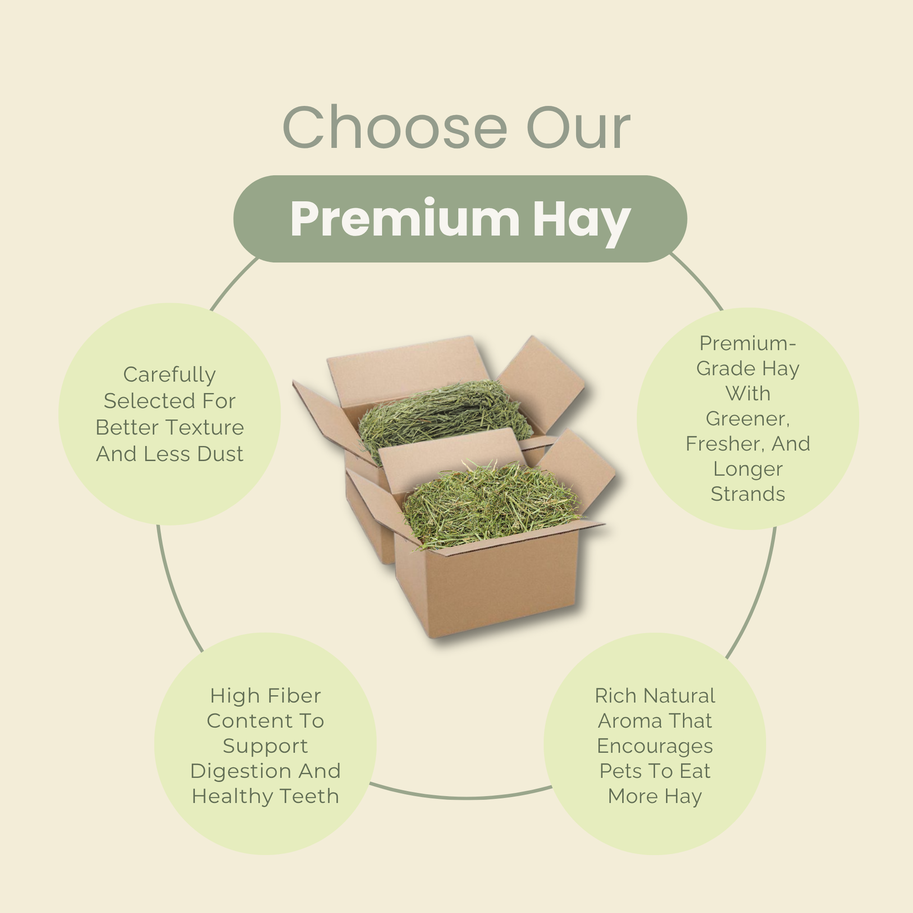 [PREMIUM] CRISPY ALFALFA HAY