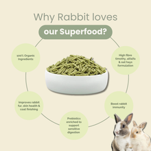 PREMIUM RABBIT SUPERFOOD 1KG