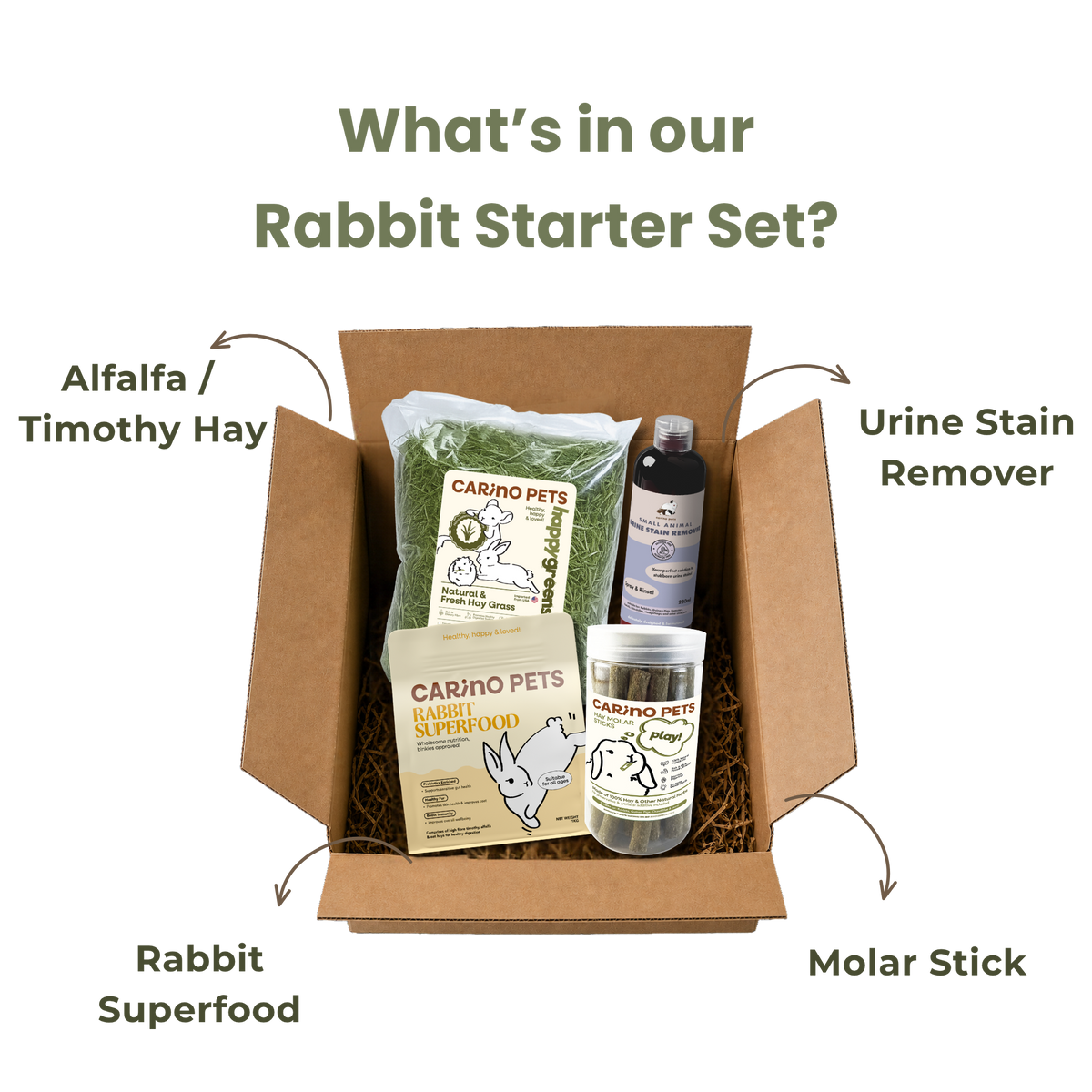 RABBIT STARTER SET