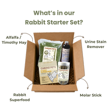 RABBIT STARTER SET