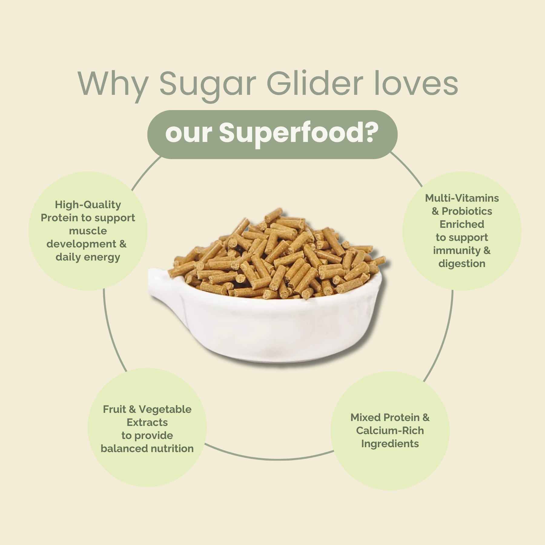 PREMIUM SUGAR GLIDER SUPERFOOD 300G
