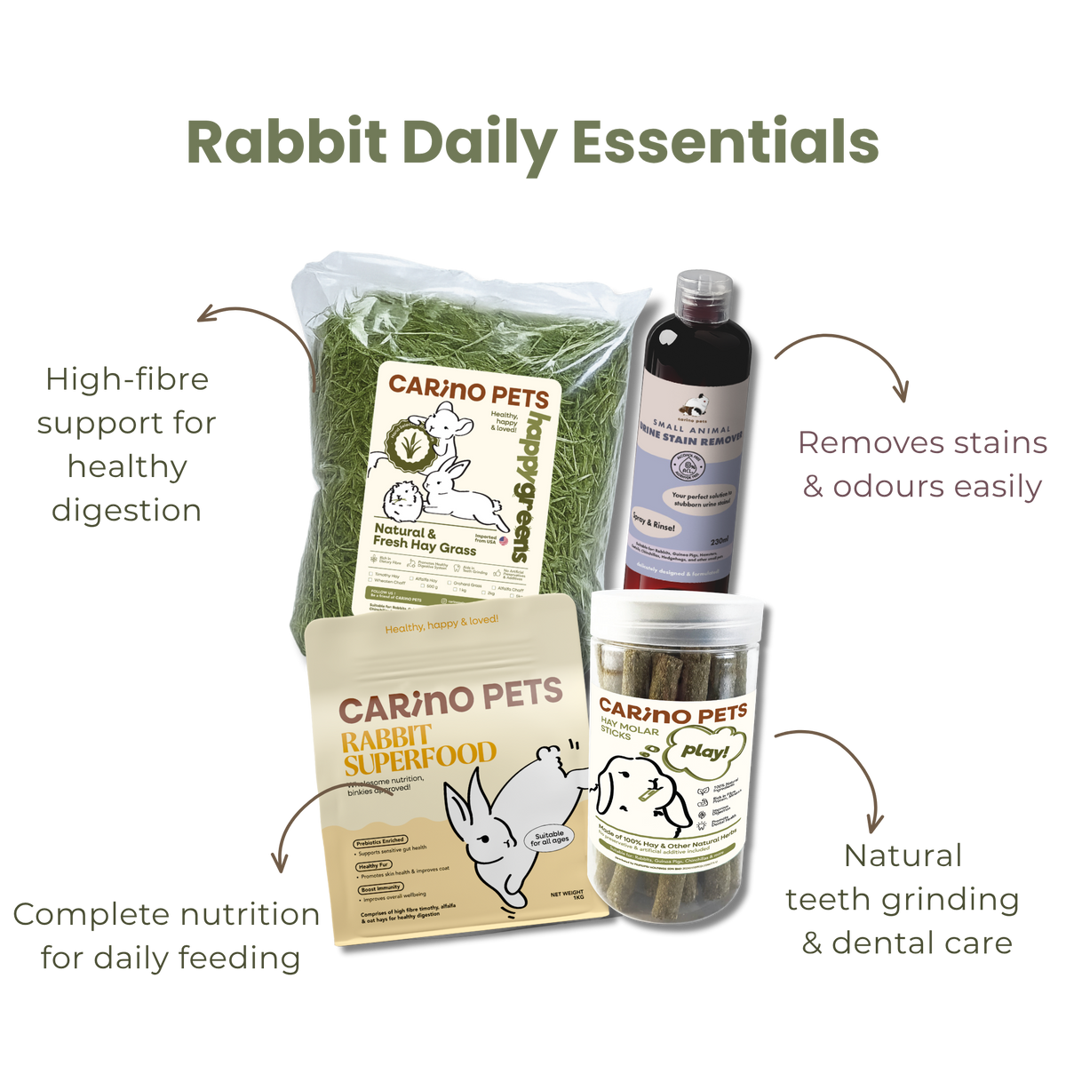 RABBIT STARTER SET
