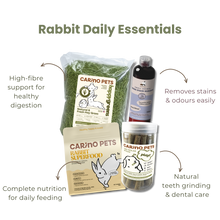 RABBIT STARTER SET