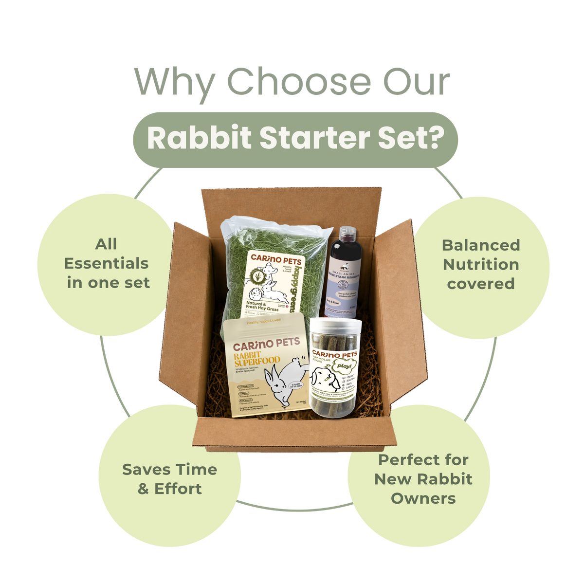 RABBIT STARTER SET