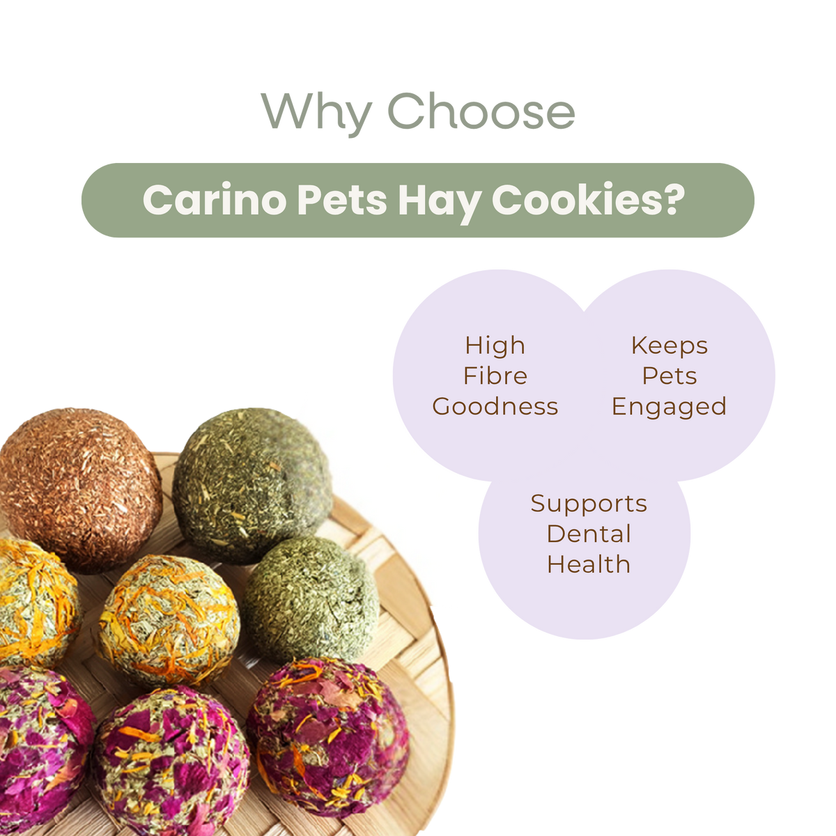 SMALL ANIMAL HAY BALL COOKIES