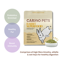RABBIT STARTER SET