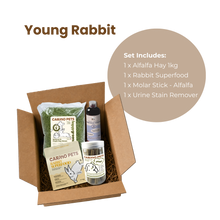 RABBIT STARTER SET