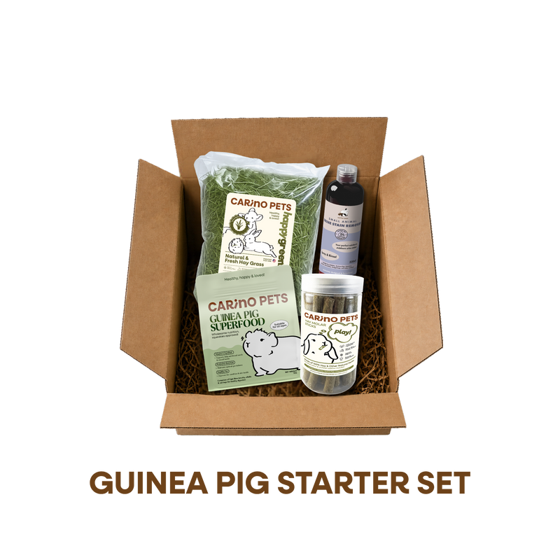 GUINEA PIG STARTER SET