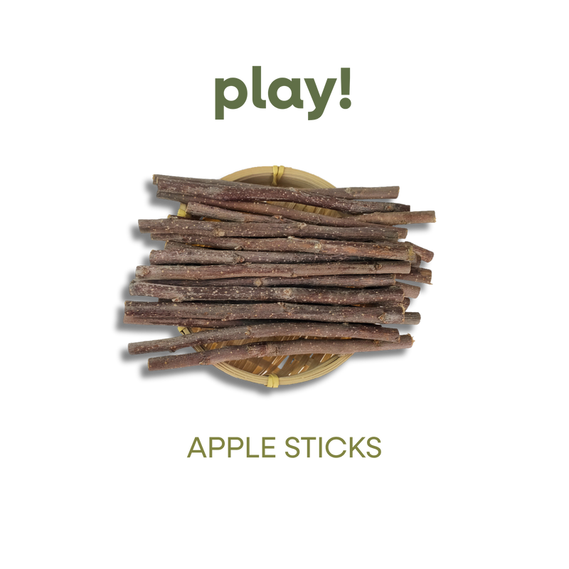 APPLE STICKS 100G