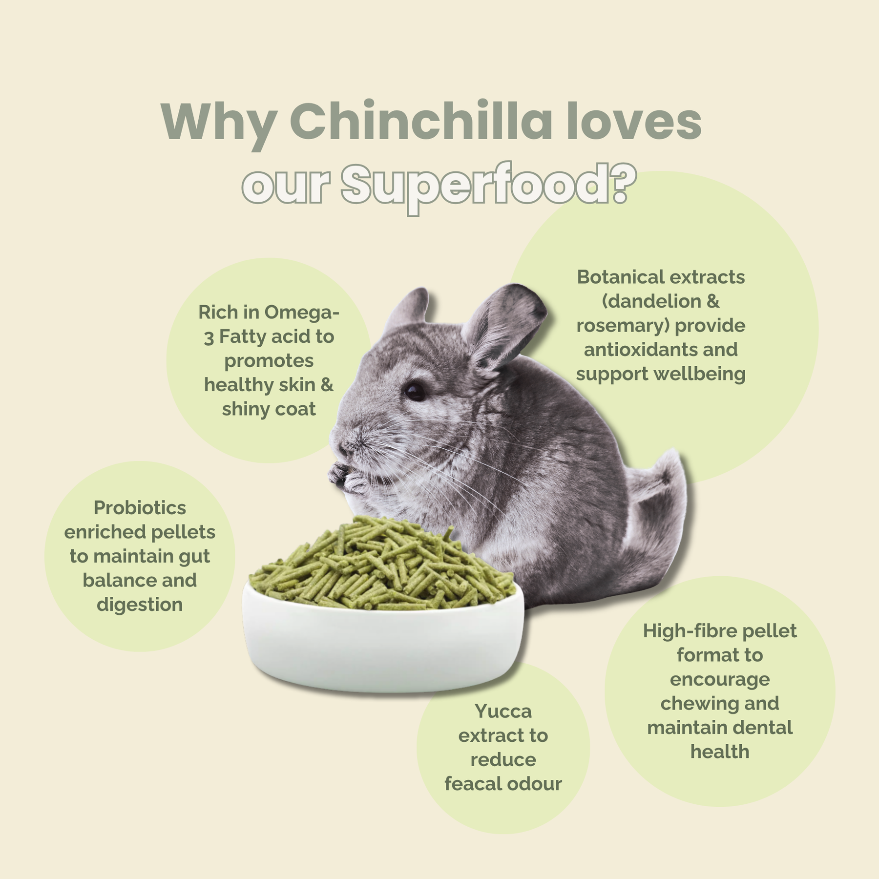 PREMIUM CHINCHILLA SUPERFOOD 600G