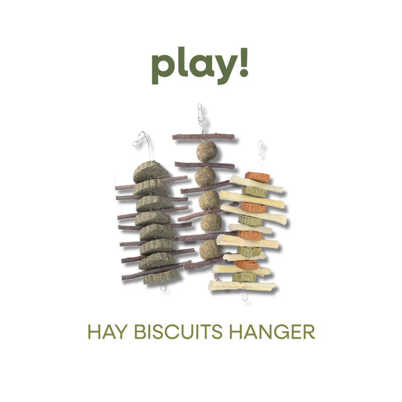 SMALL ANIMAL HAY CAKE HANGERS