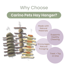 SMALL ANIMAL HAY CAKE HANGERS