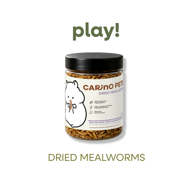 DRIED MEALWORM 500ML