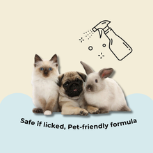 SPRITZ! MULTI-PURPOSE PET DISINFECTANT SPRAY 500ml