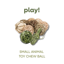 SMALL ANIMAL TOY CHEW BALL