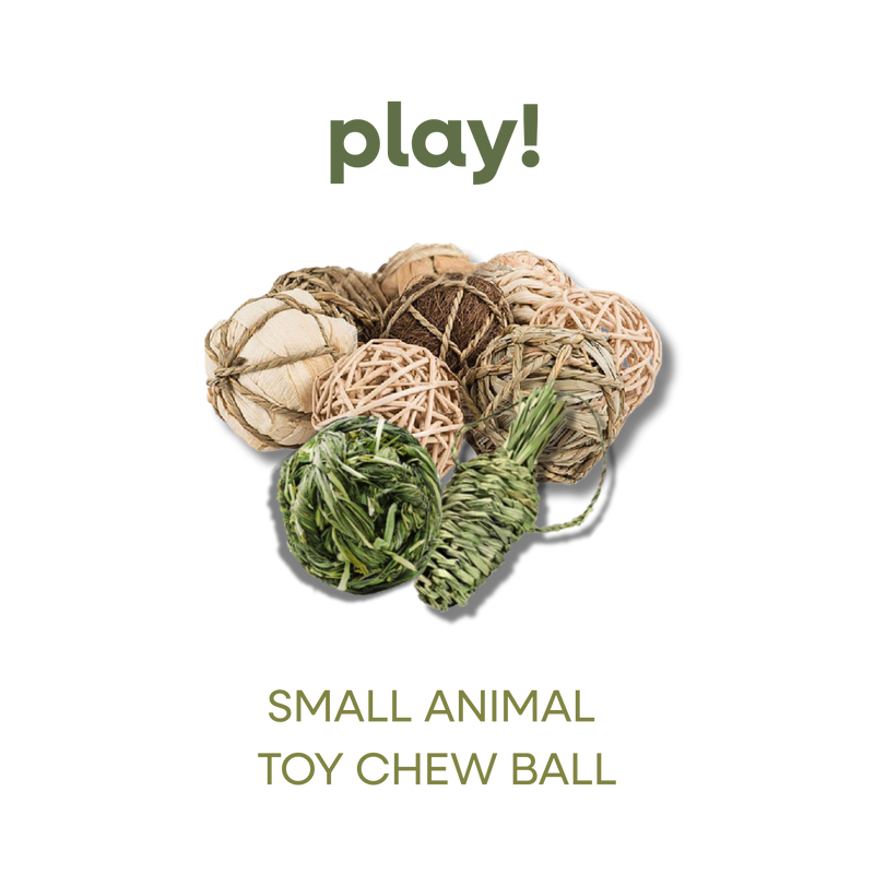 SMALL ANIMAL TOY CHEW BALL