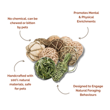 SMALL ANIMAL TOY CHEW BALL