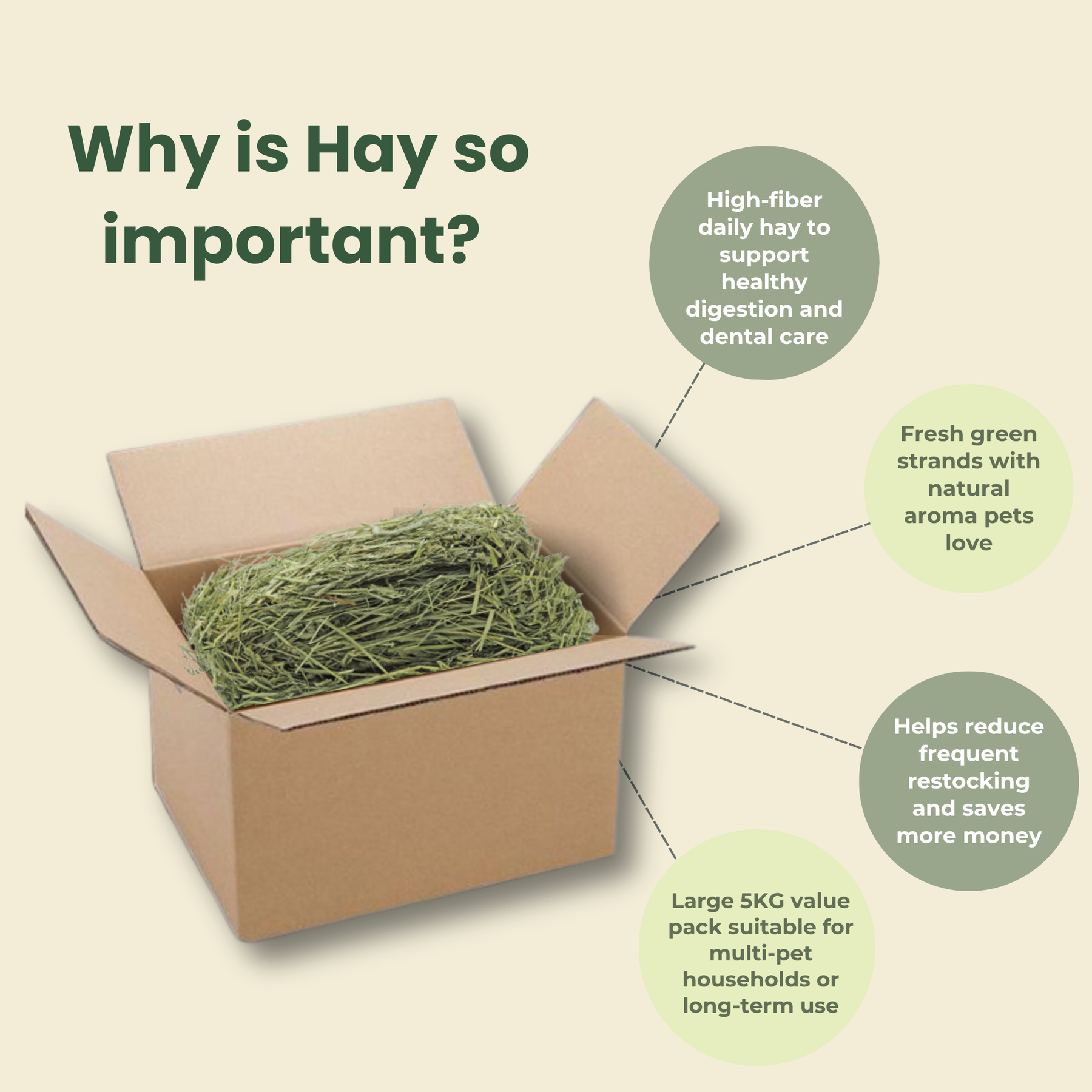 [SUPER PREMIUM] TIMOTHY HAY