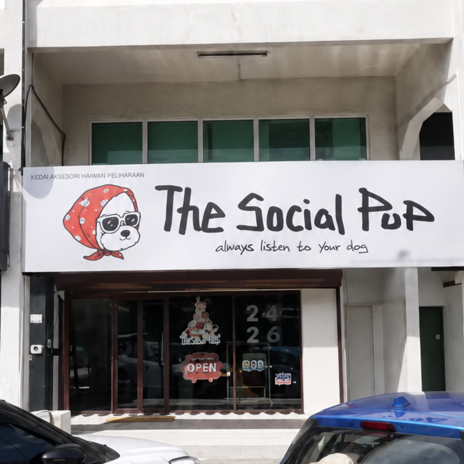 The Social Pup