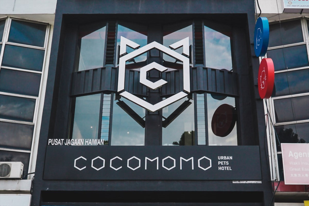Cocomomo 
Urban Pets Hotel